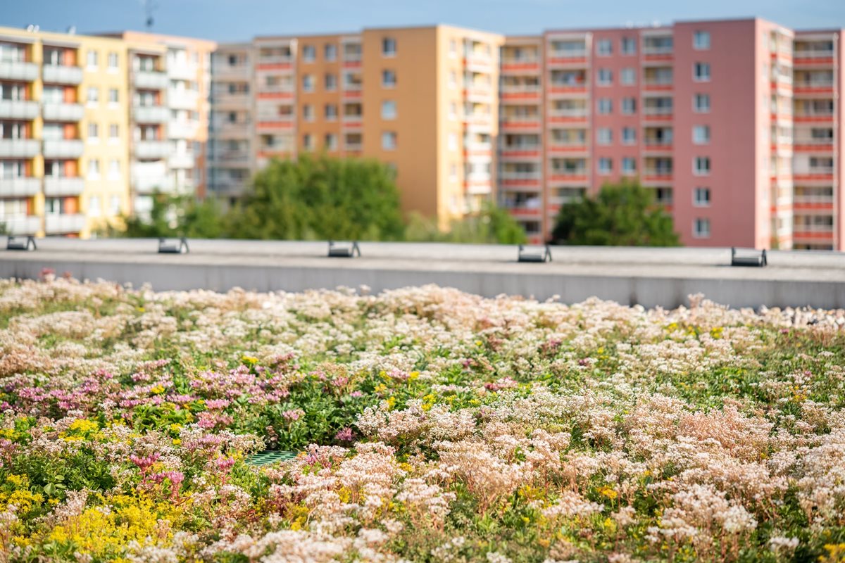 zelena strecha brno bohunice 3