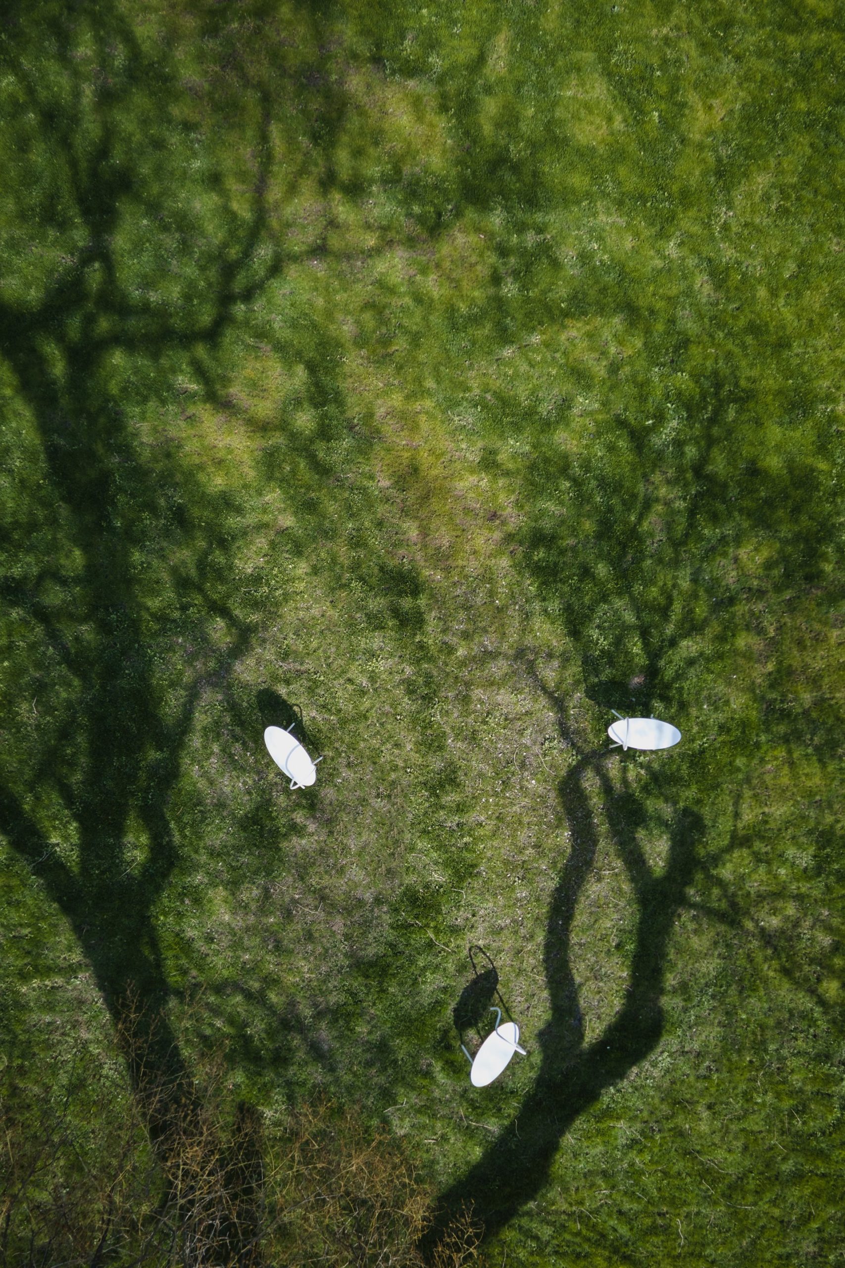 Park na Moravském náměstí