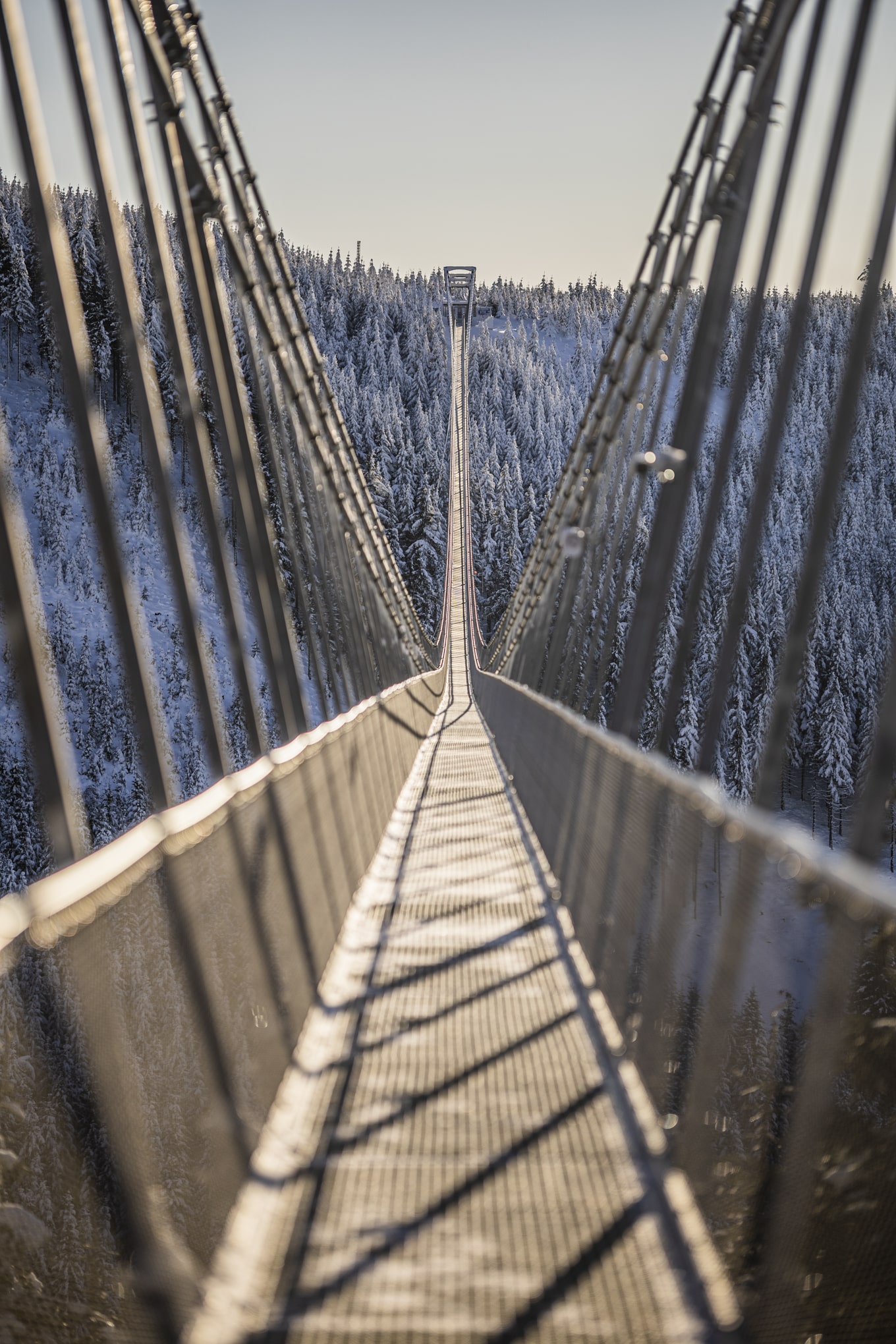 Sky Bridge 721