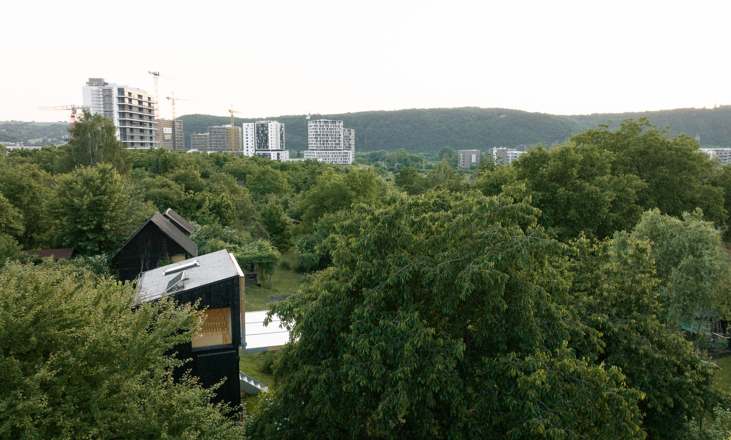 byro architekti garden pavilion alex shoots buildings 13