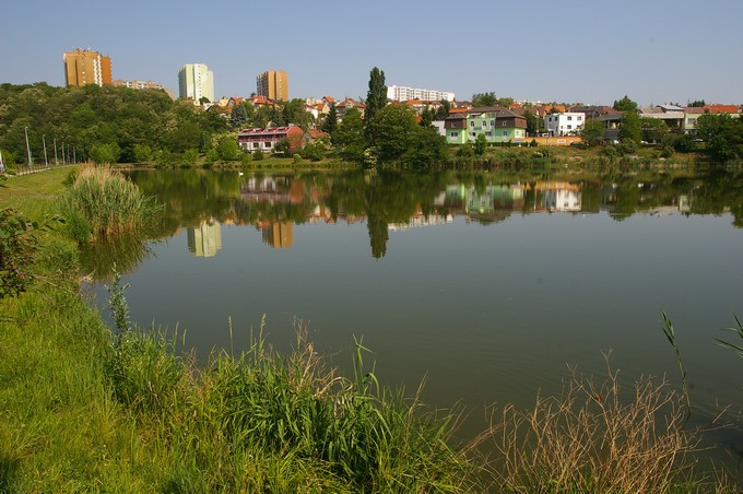 Kyjský rybník