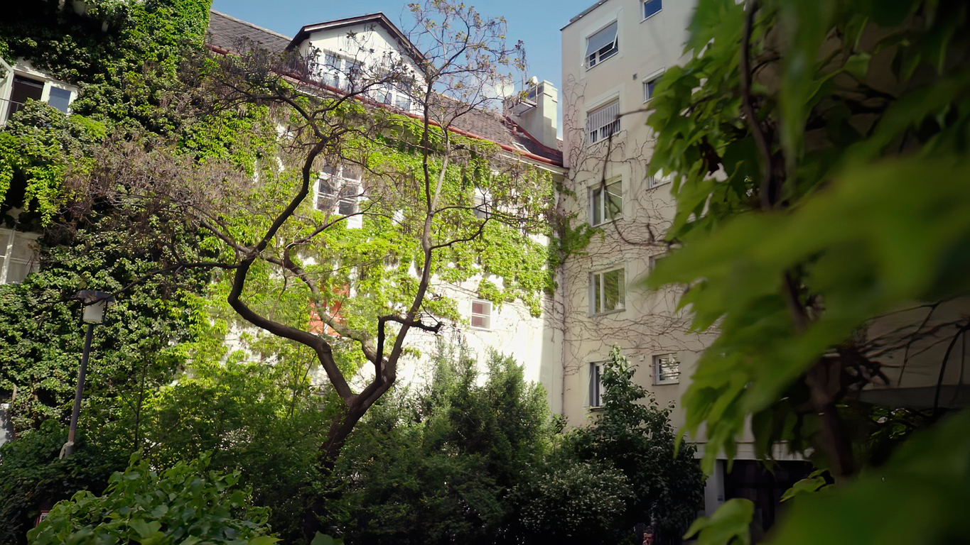 Vnitrobloky se vytrácejí z městské krajiny