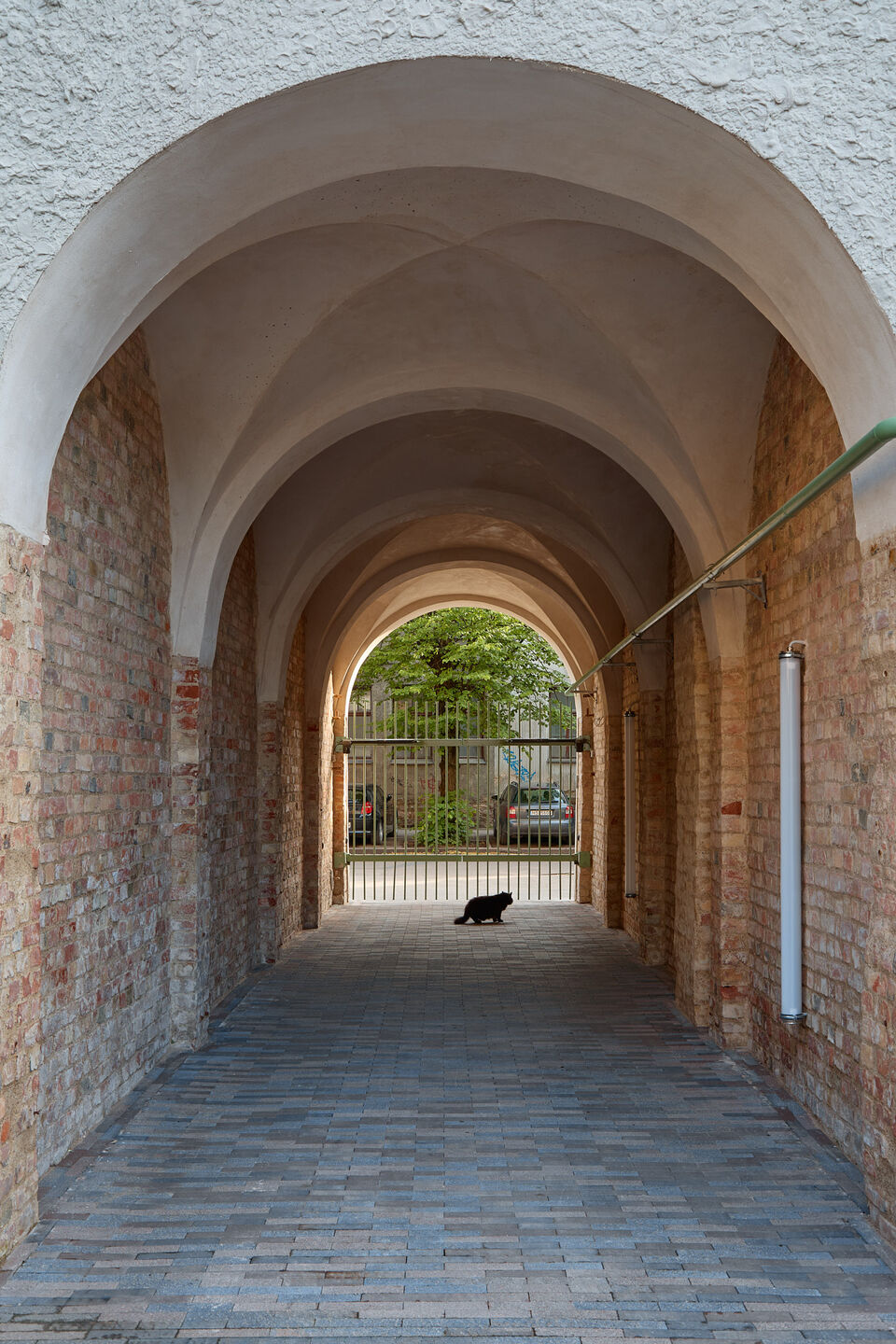 Augustiniánská zahrada