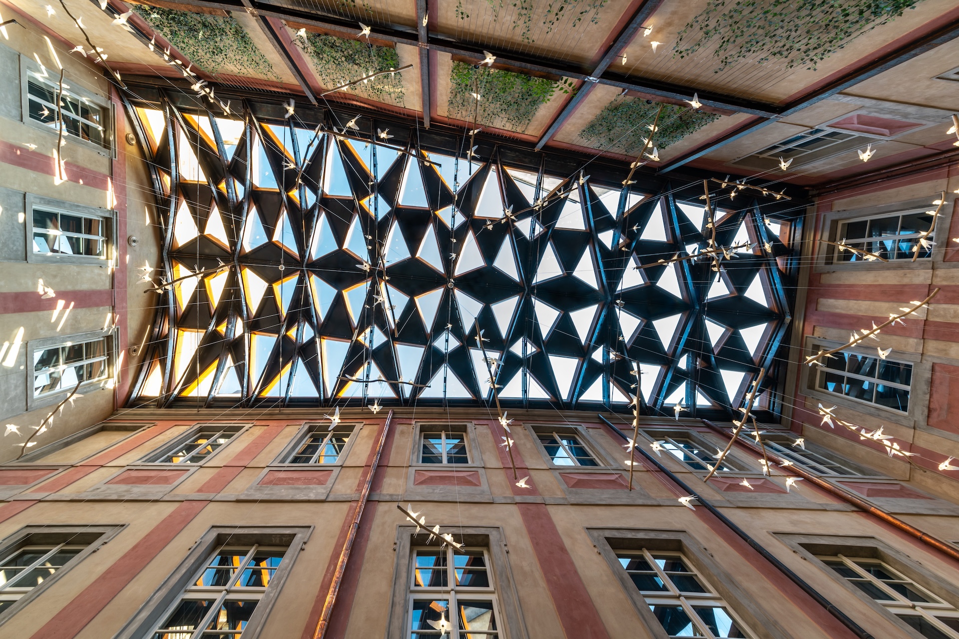 Dům U Červené lišky