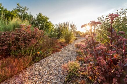 Polointenzivní zelená střecha