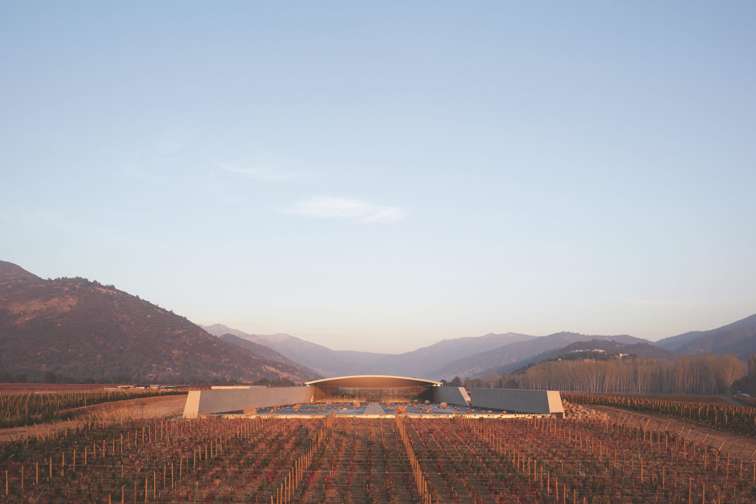 Vik Winery