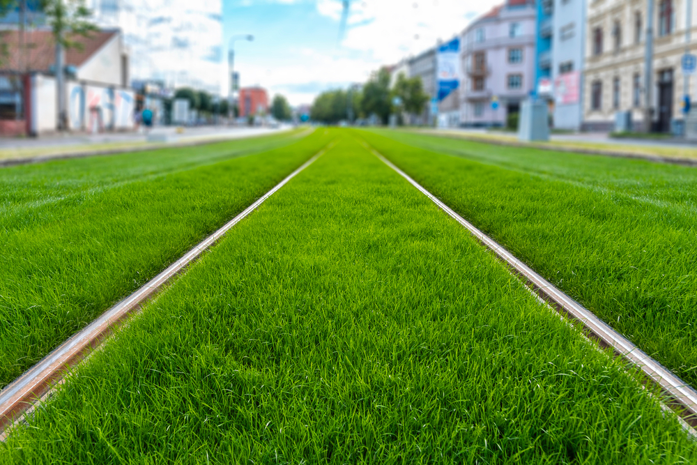 shutterstock 1809295846 Zelené tramvajové pásy patří mezi typická opatření zmírňující vedra.