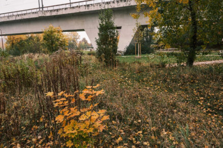 Park U Vody