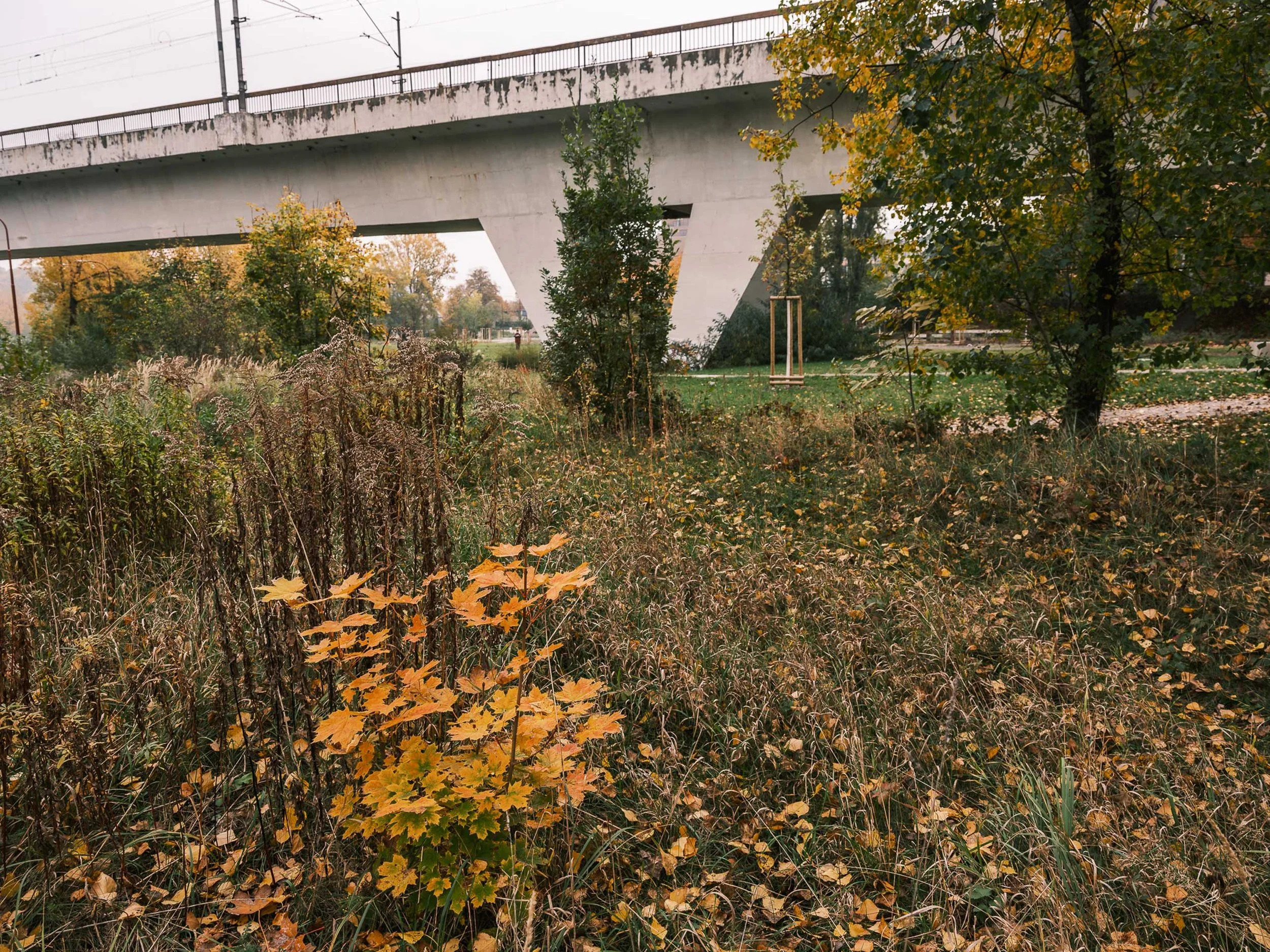 Park U Vody
