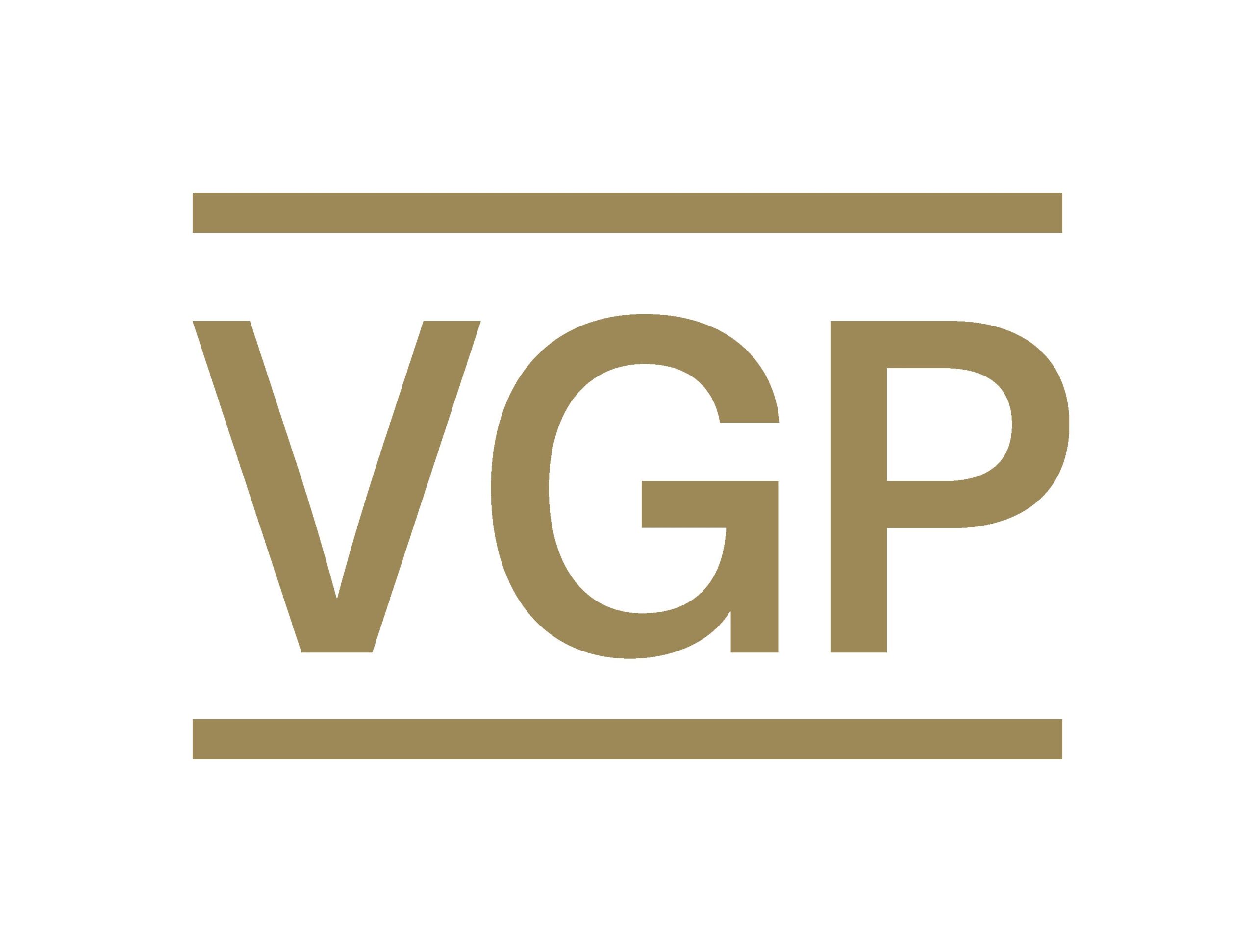 VGP logo RGB A4