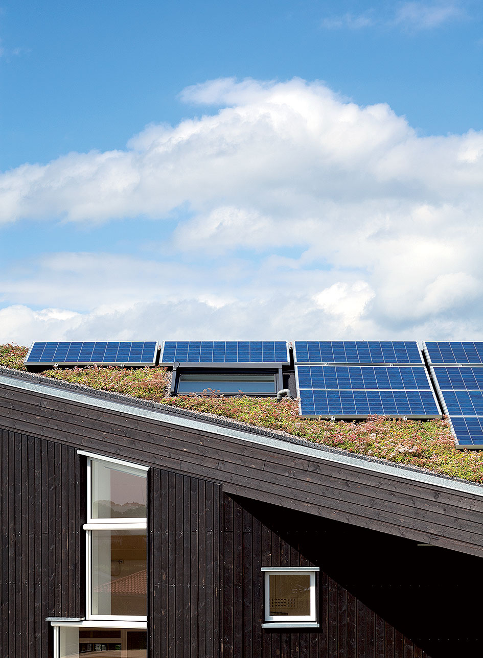 Rozchodník pomáhá také při chlazení fotovoltaických panelů.