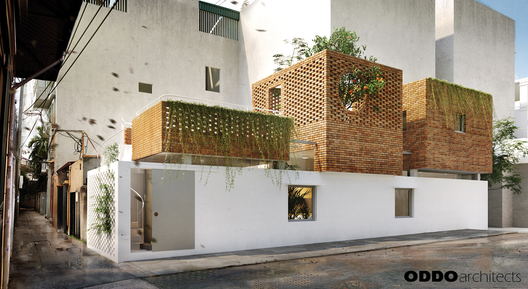 V+H house