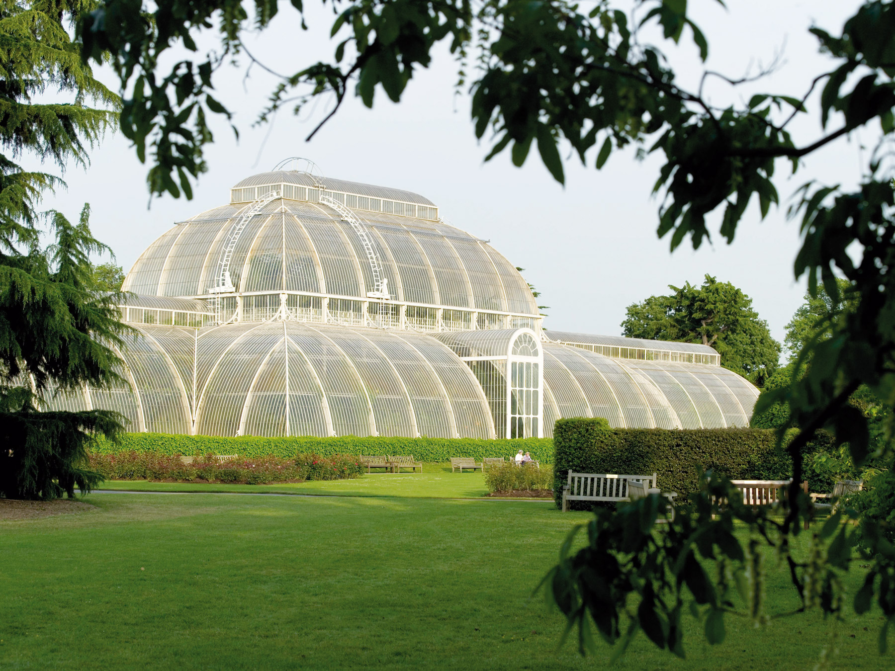 Palmový dům v Kew Gardens, jihozápadní Londýn,  Spojené království. Foto: RBG Kew – Royal Botanic Gardens Kew