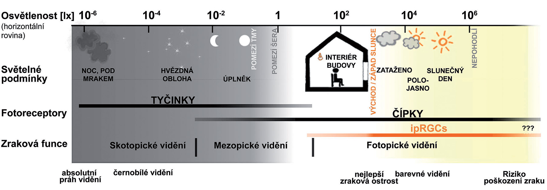 Obr. 4 Osvětlenost, vizuální a nevizuální funkce. Příklad možné osvětlenosti horizontální roviny (v lx), za různých světelných podmínek, citlivosti lidského oka, režim zraku a aktivita fotoreceptorů. Rozsah citlivosti ipRGCs fotoreceptorů nevizuálního systému je vyznačen oranžovou linií; převzato z Maierová 2015.