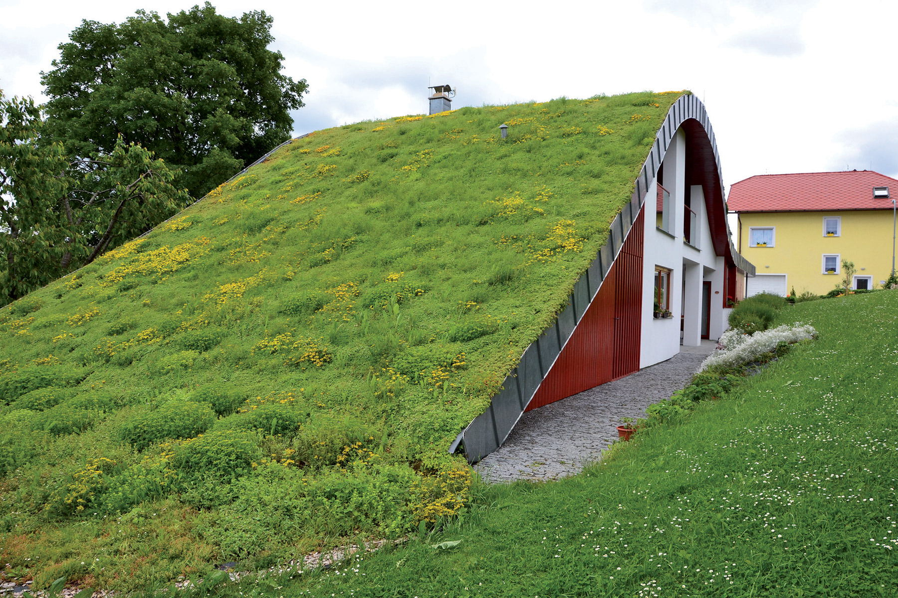 Зеленая крыша читать. Земляная крыша. Газон на крыше. Зелёный газон на крыше. Зеленая крыша.
