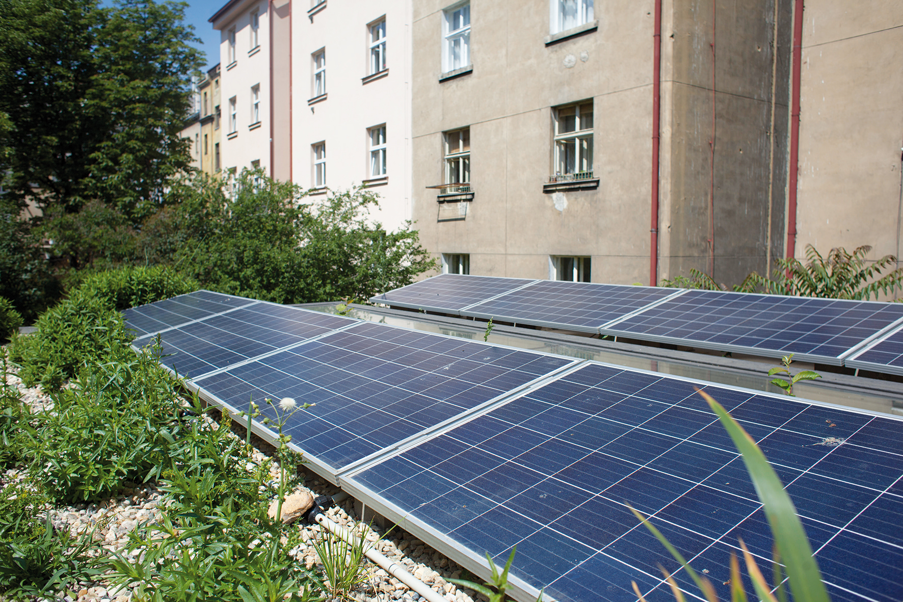 Kromě rozkvetlých rostlinek je na střeše umístěno i osm fotovoltaických panelů.