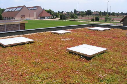 Vegetační střechy zlepšují prostředí měst