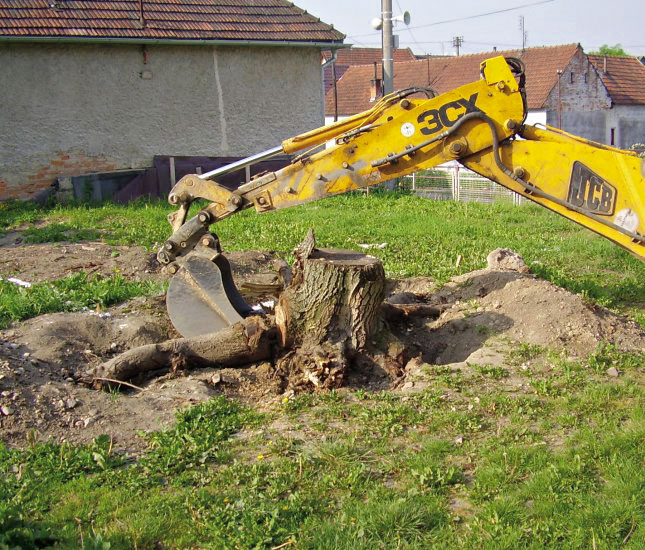 Nejrychleji se prodávají pozemky v Jihomoravském kraji