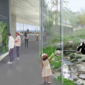 Výsledky architektonické soutěže na návrh pavilonů pand a ledních medvědů