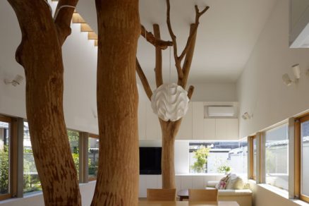 Stromy v japonském domě